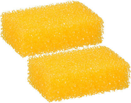 Auto poetsen spons tegen insecten - 2x - speciale structuur - zeem - 12 x 7 cm - auto wassen