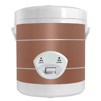 Auto Rijstkoker 12V24V Auto Vrachtwagen Smart Kleine Rijstkoker Mini Rijstkoker Voor 1-2 Mensen Home use 220V