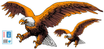 Auto Tattoo Sticker Eagle 2pcs - 67x32cm AV111262