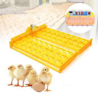 Automatische 56-Ei Turner Kip Eend Kwartel Vogel Gevogelte 110V Incubator Lade