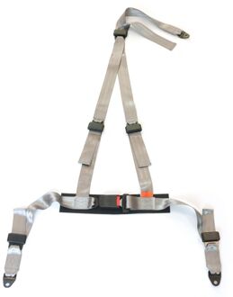 Autostyle Racing Sportgordel 3-Punts Zilver + E-keur (2-inch)