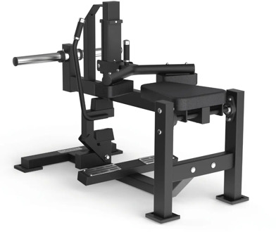 AVANT - Seated Calf FWX-7800
