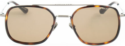 AVEDON-S117 AVEDON 56 S117 Zonnebril Bruin - One Size