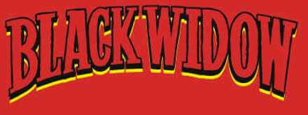 Avengers Black Widow Comics Logo Men's T-Shirt - Red - XXL - Rood