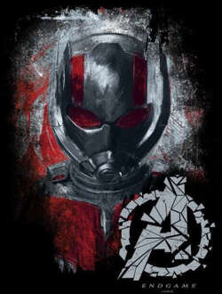 Avengers: Endgame Ant-Man Brushed heren t-shirt - Zwart - 3XL