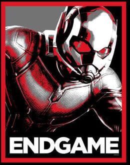 Avengers: Endgame Ant-Man Poster heren t-shirt - Zwart - 4XL