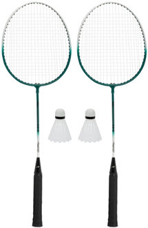 Avento Badminton Set 1 Zilver