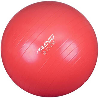 Avento Fitness/Gymbal - Ø 75 cm - Roze