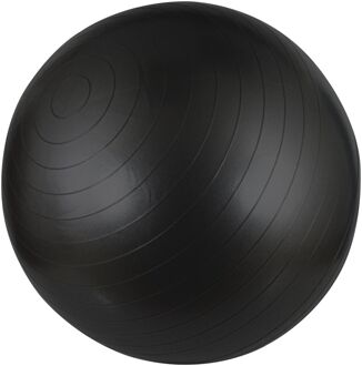 Avento Fitnessbal 65 cm zwart