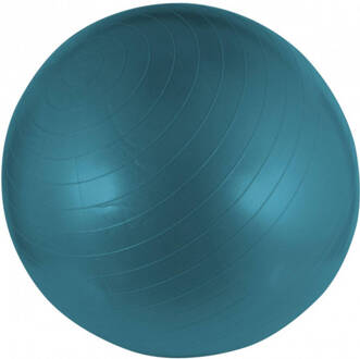 Avento Fitnessbal 75 Cm 1,3 Kilo Blauw