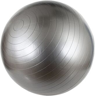 Avento fitnessbal 75 cm 1,3 kilo zilver Zilverkleurig