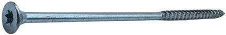 Avenue Sencys Universele Schroef Gegalvaniseerd Verzonken Kop Torx - 6x160mm - 1 Stuk