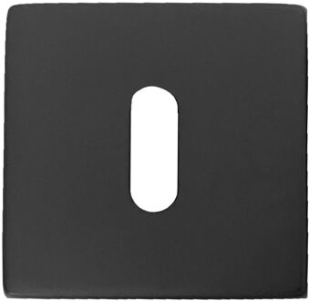 Avenue Sleutelgatrozet - Staal - Modern - 8cm - Mat Zwart - 2 Stuks