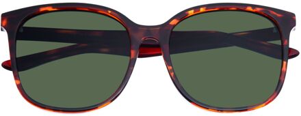 Avery gepolariseerde zonnebril Groen - One Size