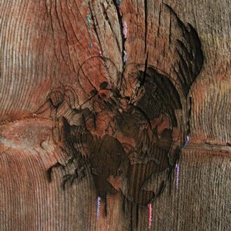 Avey Tare's Slasher Flick - Enter The Slasher House