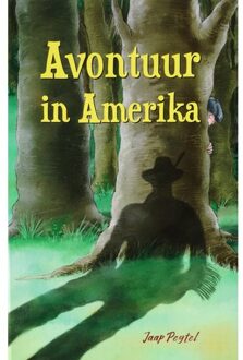 Avontuur in Amerika