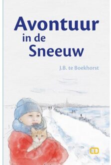 Avontuur in de sneeuw - Boek J.B. te Boekhorst (9082625326)