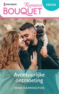 Avontuurlijke ontmoeting - Nina Harrington - ebook