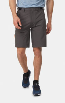 Ayacucho Forest Softshell Short Korte Broek Grijs - 54