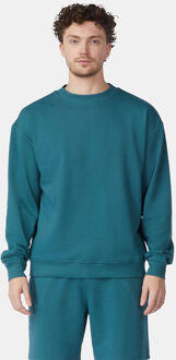 Ayacucho Helsinki Crew Neck Trui Groen - XL