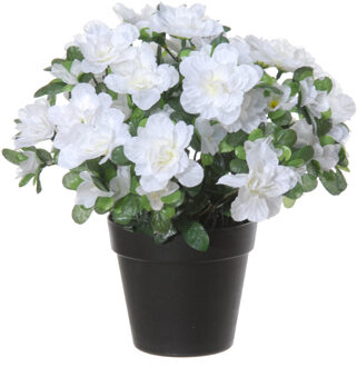 Azalea Kunstplant - in pot - wit - H28 cm - Kunstplanten