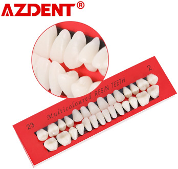 Azdent Dental Material Plastic Teeth Teaching Model Dedicated Teeth Dental Material Useful Teeth Care Tool Full denture A2