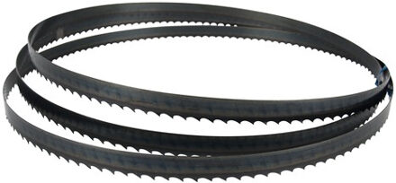 B-40559 Zaagband 835x13mm 18TPI
