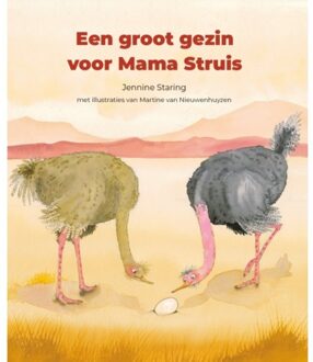 B For Books Distribution Een groot gezin voor Mama Struis
