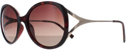 B2117 B demi goud bruin tortoise bruin gepolariseerde zonnebril