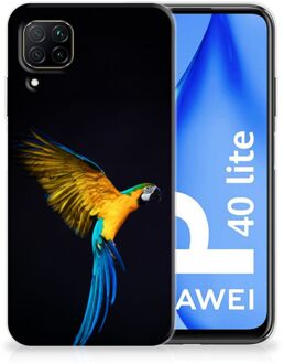 B2Ctelecom GSM Hoesje Huawei P40 Lite Bumper Hoesje Papegaai