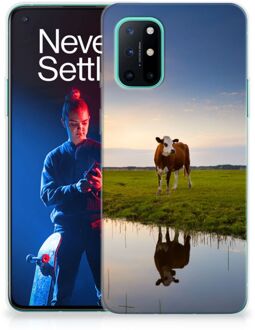 B2Ctelecom GSM Hoesje OnePlus 8T Backcase TPU Siliconen Hoesje Koe