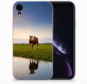 B2Ctelecom Hoesje iPhone Xr Design  Koe