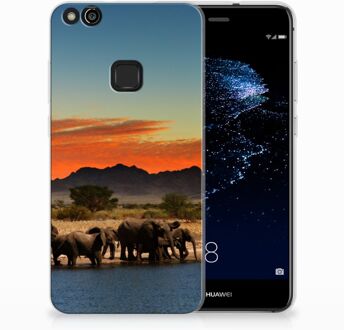 B2Ctelecom Huawei P10 Lite TPU Hoesje Design Olifanten