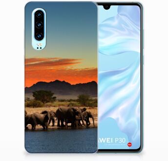 B2Ctelecom Huawei P30 TPU Hoesje Design Olifanten