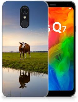 B2Ctelecom LG Q7 TPU Hoesje Koeien