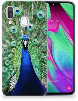 B2Ctelecom Samsung A40 TPU Silicone Hoesje Design Pauw