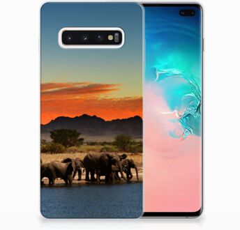 B2Ctelecom Samsung Galaxy S10 Plus TPU Hoesje Design Olifanten