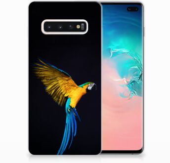 B2Ctelecom Samsung Galaxy S10 Plus TPU Hoesje Design Papegaai