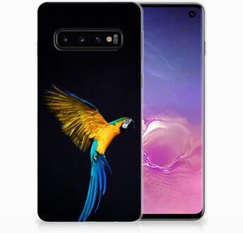 B2Ctelecom Samsung Galaxy S10 TPU Siliconen Hoesje Design Papegaai