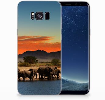 B2Ctelecom Samsung Galaxy S8 Plus TPU siliconen Hoesje Design Olifanten