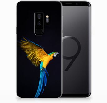 B2Ctelecom Samsung Galaxy S9 Plus TPU Hoesje Design Papegaai