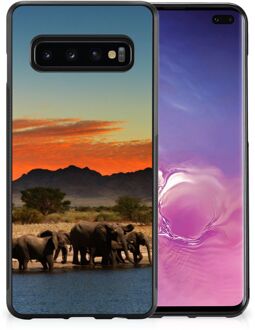 B2Ctelecom Telefoonhoesje Samsung Galaxy S10+ TPU Gripcase met Zwarte rand Olifanten