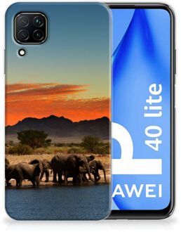 B2Ctelecom TPU Case Huawei P40 Lite Telefoonhoesje Olifanten