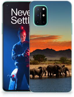 B2Ctelecom TPU Case OnePlus 8T Telefoonhoesje Olifanten