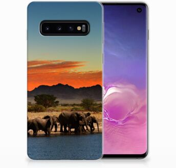 B2Ctelecom TPU Siliconen Backcover Hoesje Samsung Galaxy S10 Design Olifanten