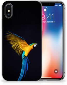 B2Ctelecom TPU-siliconen Hoesje iPhone Xs | X/10 Design Papegaai