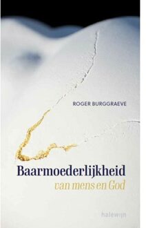 Baarmoederlijkheid Van Mens En God Vanuit Het Verhaal Van De Barmhartige Samaritaan - Roger Burggraeve