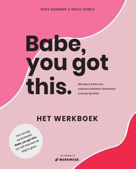 Babe, you got this. Het werkboek - Boek Rosa Dammers (9000361508)