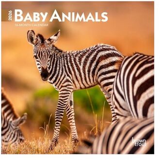 Baby Animals 2026 Mini 7x7 Calendar - Browntrout