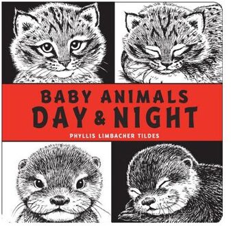 Baby Animals Day & Night